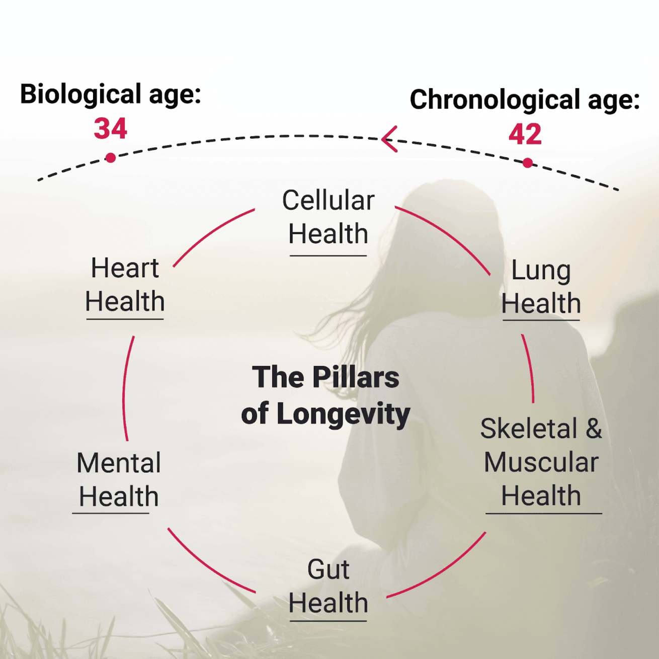 Longevity Fitness Sacramento Roseville
